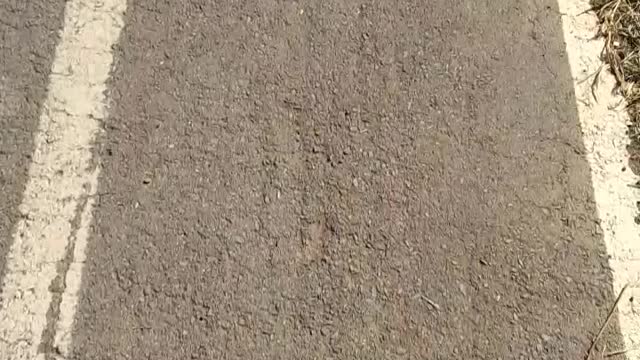 Caminhada no parque.