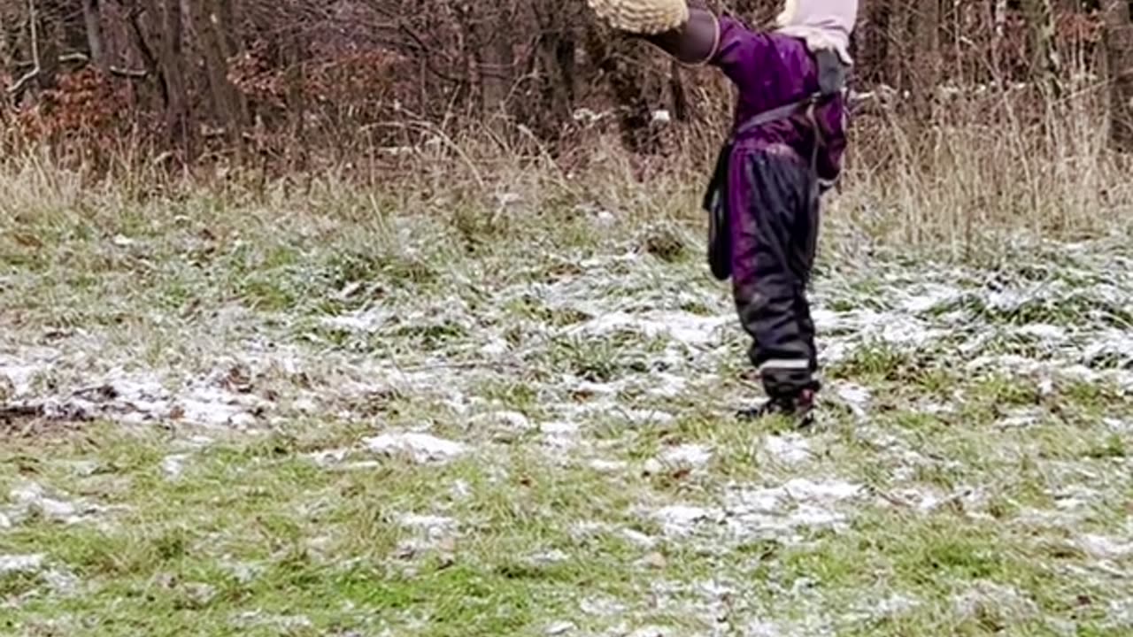 Flying with a fantastic owl - birds of prey with children - nature fun