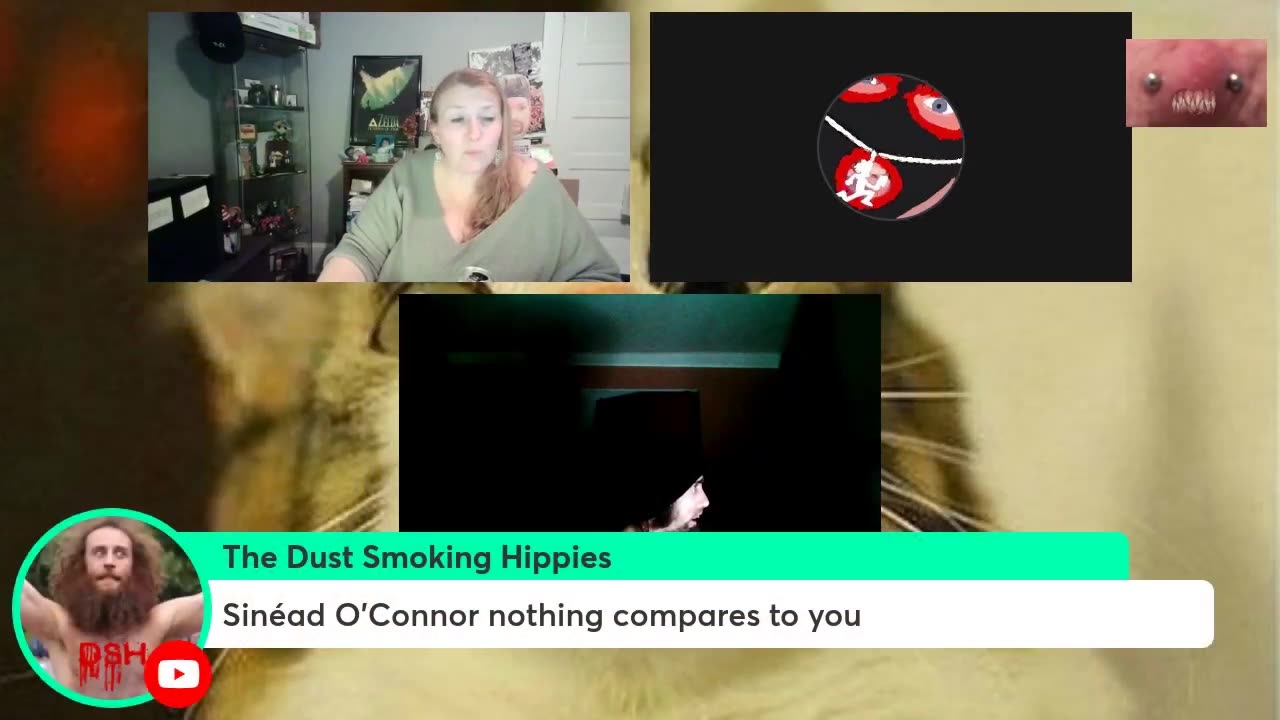 Cyraxx on Courtney's Stream 2021-12-1