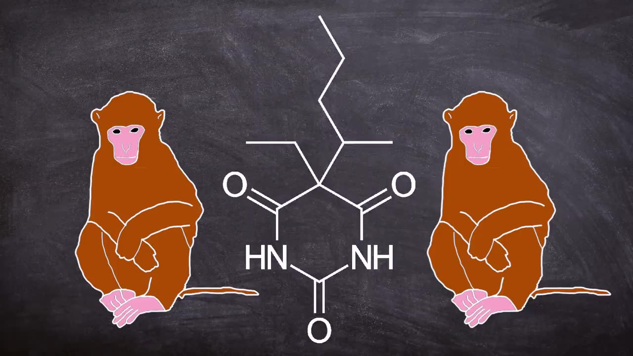 The Dark side of Science_ The 1970 Monkey Head experiment (Short Documentary)