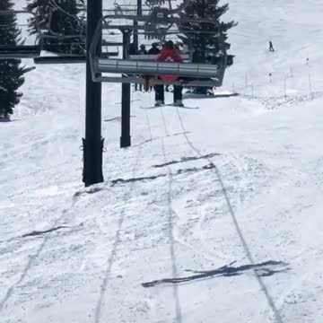 SMART DOG WAITING FOR THERE TURN TO RIDE.mp4