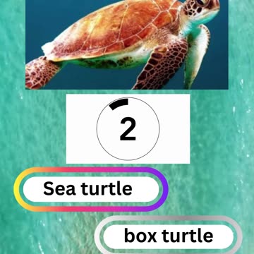 Fish Frenzy 23 A fast-paced quiz