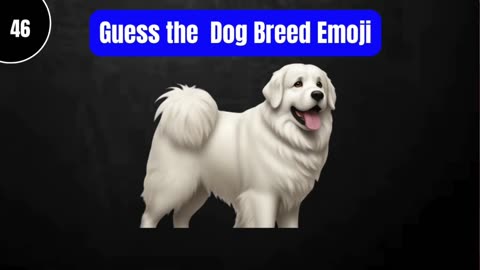 Guess the Dog Breed