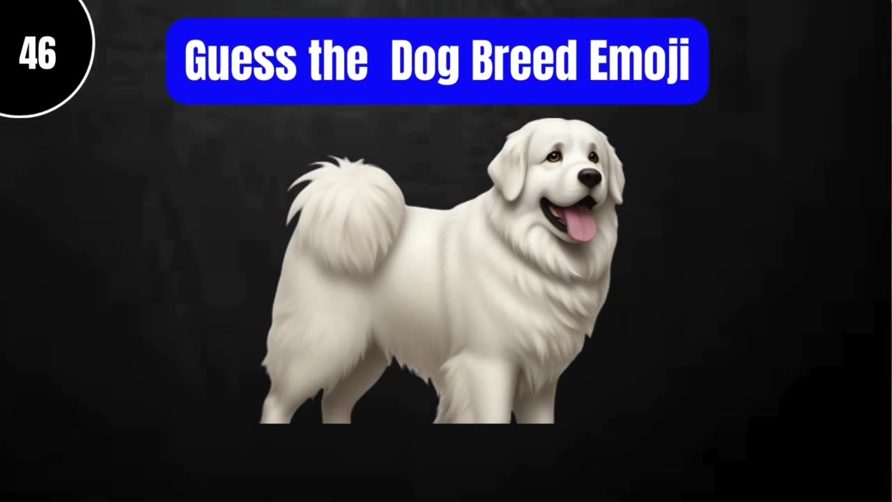 Guess the Dog Breed