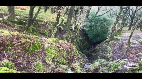 Walking and Talking | Quantock Hills