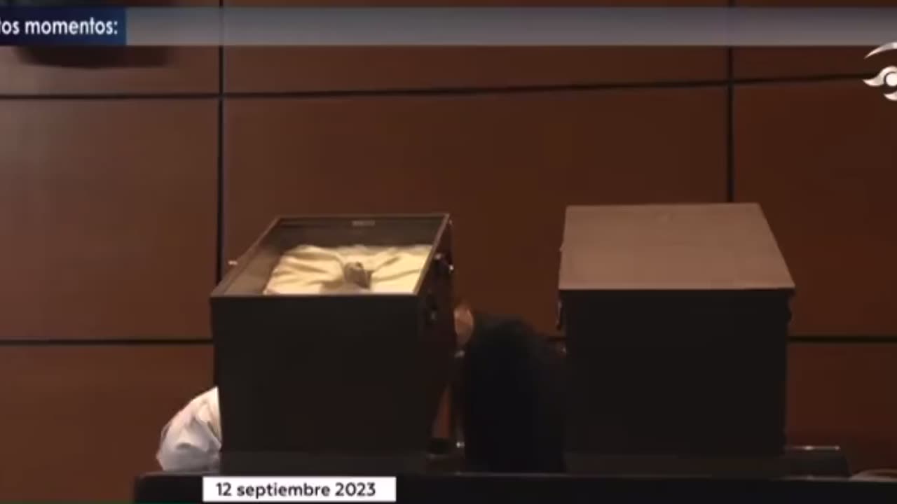 The bodies of two dead aliens have been unveiled in Mexico