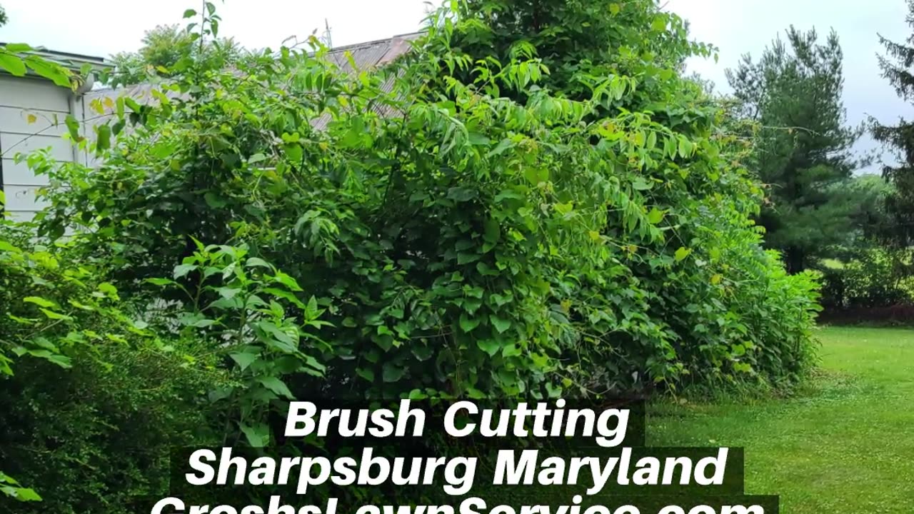 Brush Cutting Sharpsburg Maryland Landscape Contractor