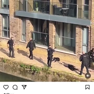 Scary cops blast two dogs