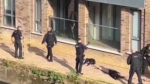 Scary cops blast two dogs