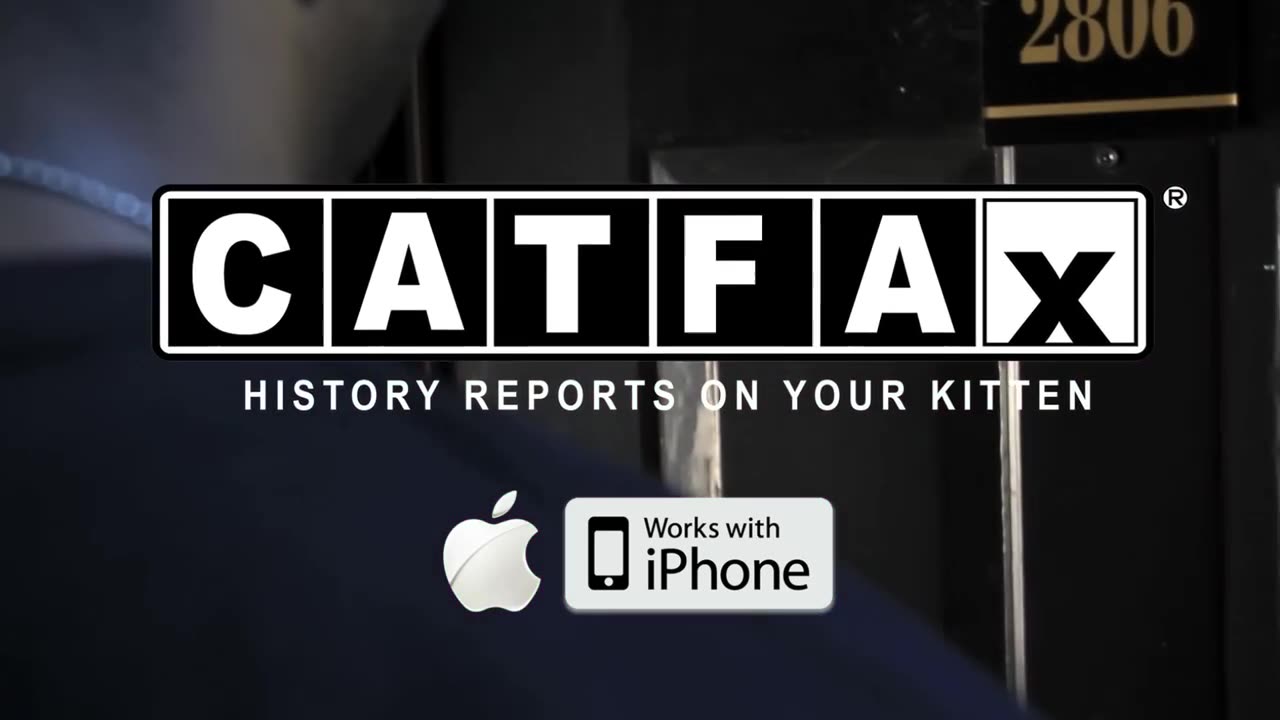 Always Check the CATFAX