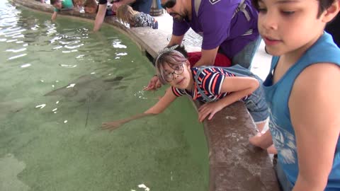 4-9-22 McMinn Denver Zoo Stingray Cove