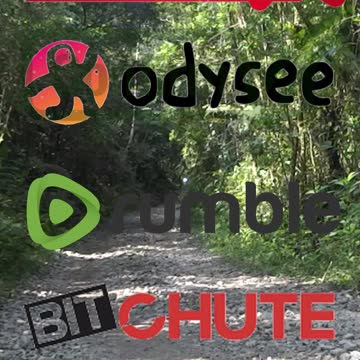 Novas Redes de Video