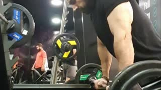 Barbell curls for big arms