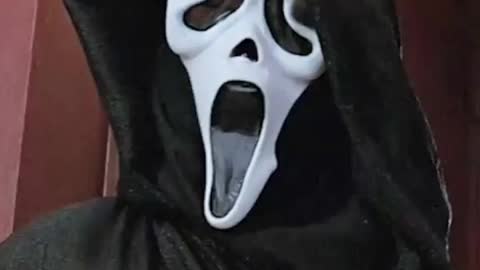 MR Mahuta, HE SAID IT not ME