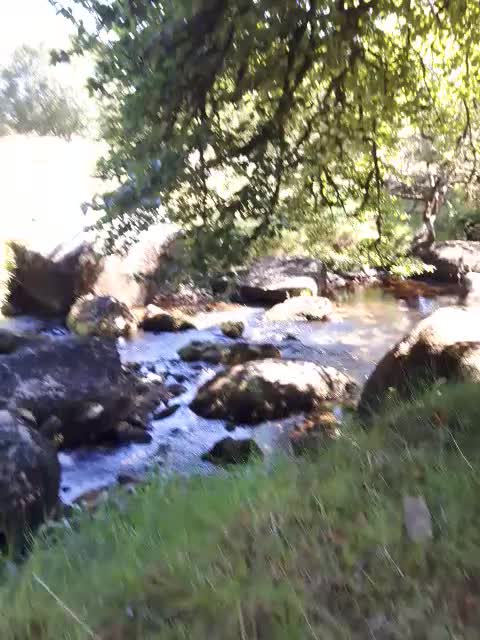 Chilled coffee time..riverside. Aug 2022