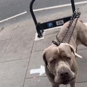 It was at this moment he knew, he fuxked up