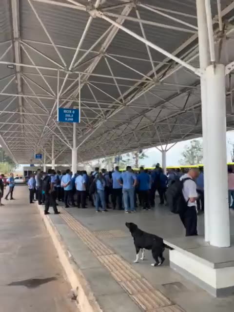 Rodoviários paralisam após morte de cobrador em assalto no DF