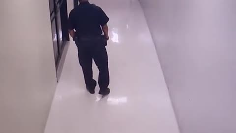 Ghost on security camera?! Or a joke?