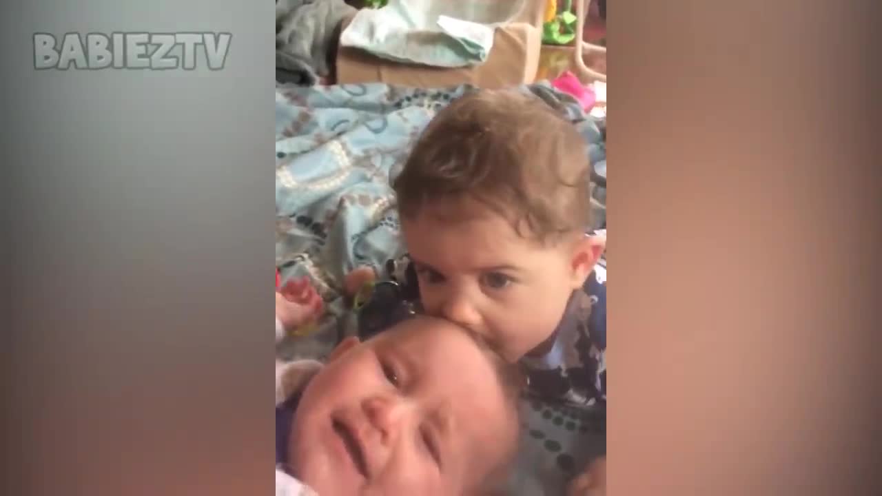 Cute Puppies and Babies Playing Together Compilation