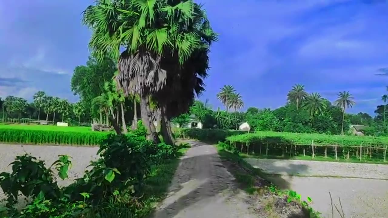 Village culture