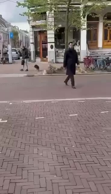 Pasi mori 1.3 mln euro nga Rama, Basha ikën në Holandë