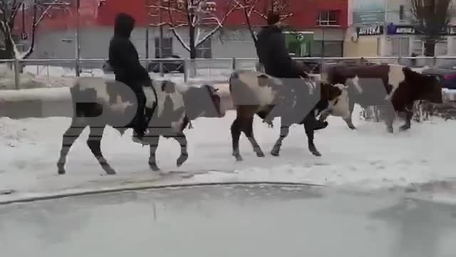 The horsemen of the apocalypse in Russia look something like this.