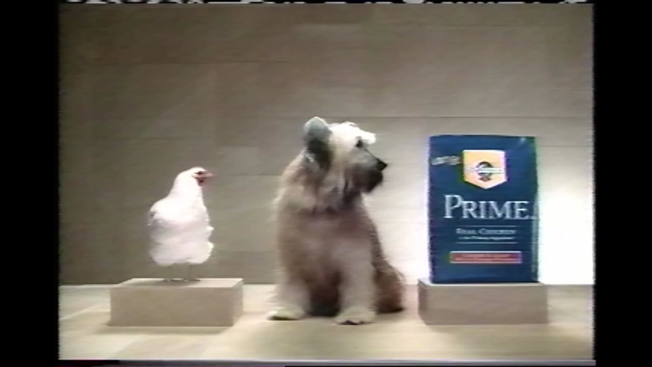 Pedigree Prime Dog Food Commercial (1999)