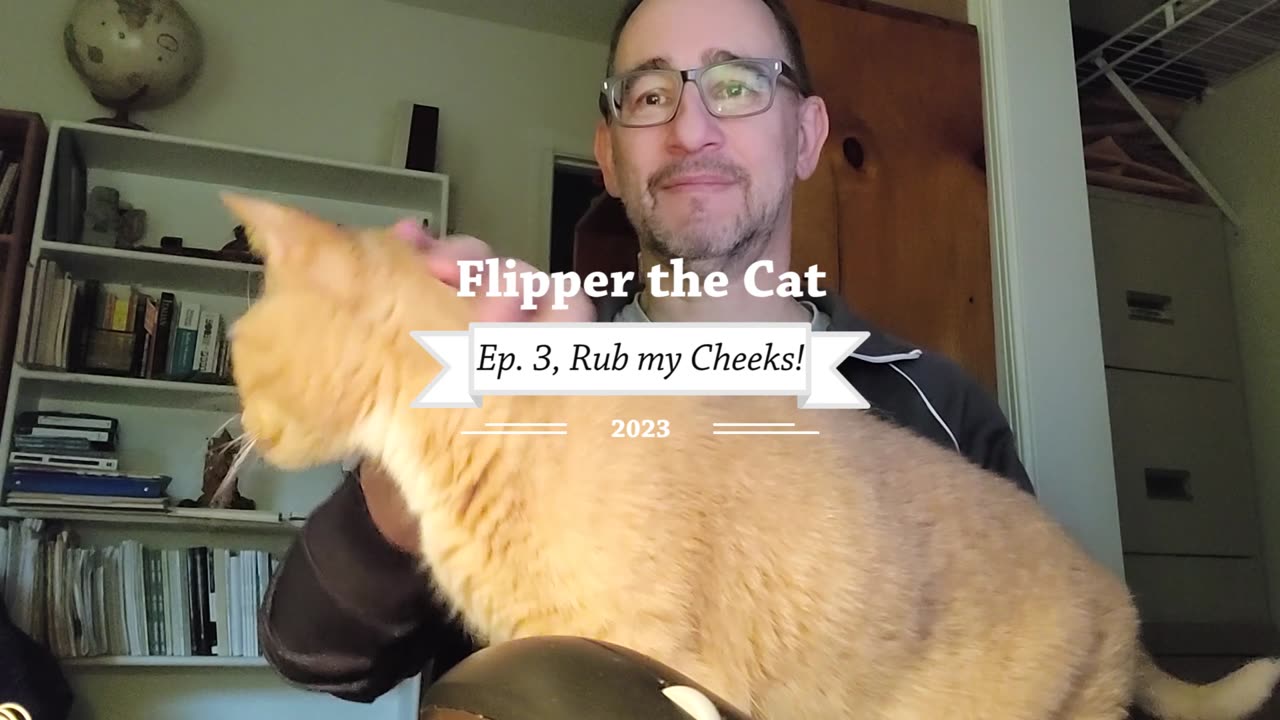 Flipper the Cat, Ep. 3, Rub My Cheeks!