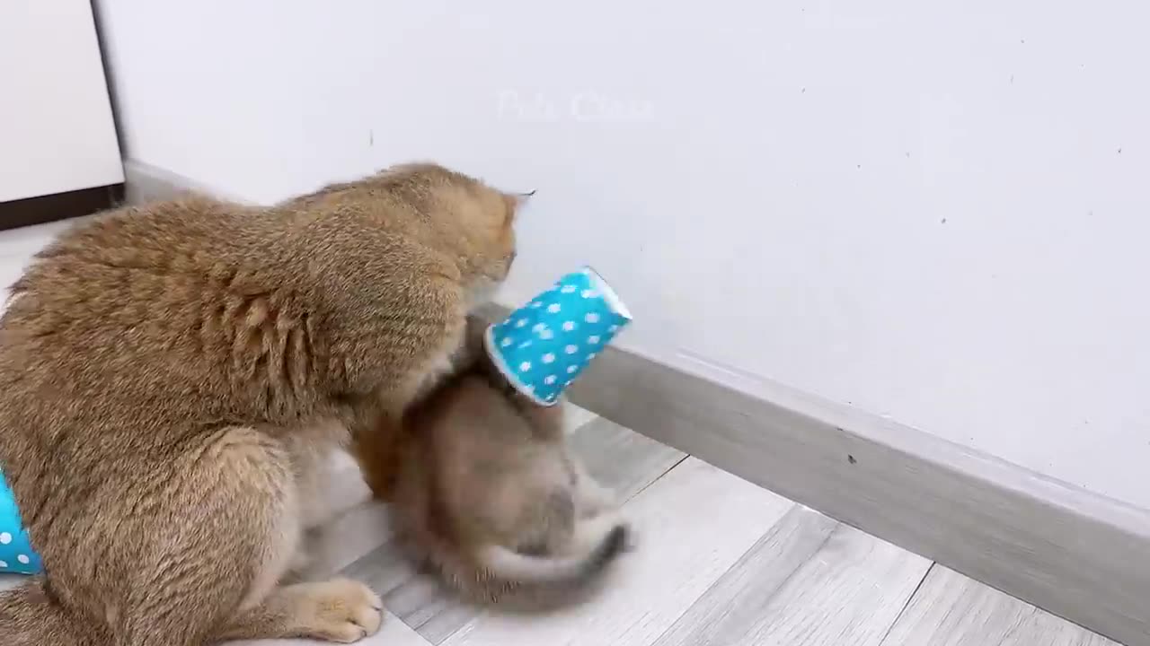 You Laugh You Lose π€£π Funniest Dogs and Cats 2023 πΆπΉ Part 36