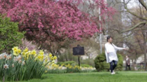 Park with broad amount of flowers