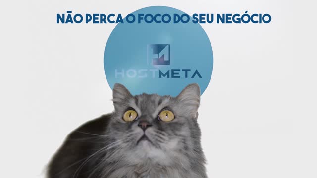 Não perca o foco do seu negócio