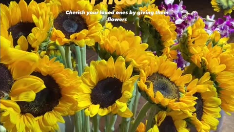 Sunflowers 🌻