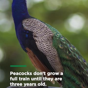 You miss 100% of the shots you don’t take!