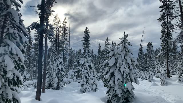 Vibrant Storm Clouds – Central Oregon – Vista Butte Sno-Park – 4K