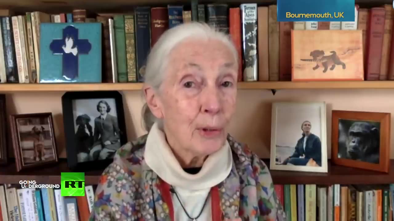 EP.879: Dr. Jane Goodall on Coronavirus: We Brought This on Ourselves by Disrespecting Nature!