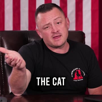 This Cat Needs to Go on a Diet