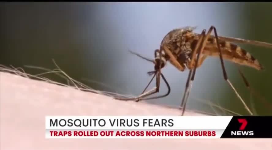 🚨 WARNING GATES 🦟 Adelaide Aust -GMO Mozzi Release ☠️ DO NOT GET BITTEN ! 💉