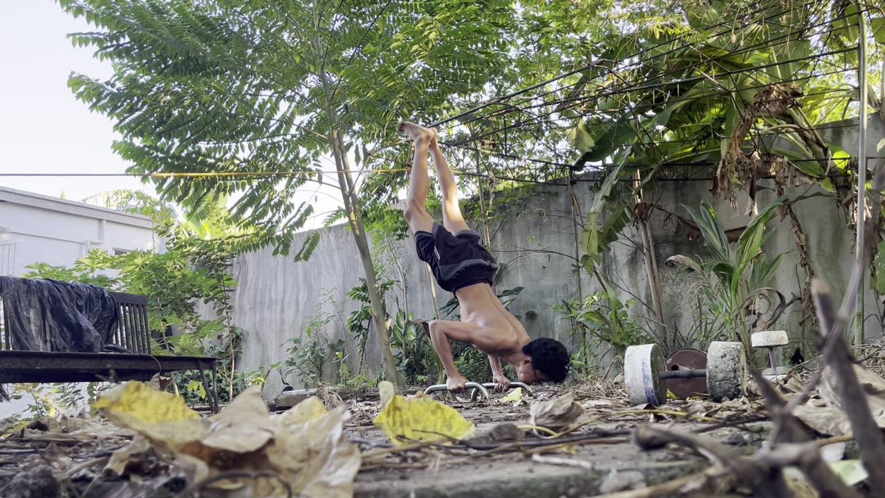 L sit to handstand practice