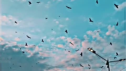 Beautiful sunset