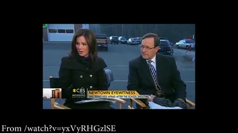 SANDY HOOK GREEN SCREEN INTERVIEW