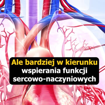 Jaki 🧲 magnez 💊 wybrać?, 4 fragment materiału... - Przemysław Kasprzyszyn, CM Vis Vitalis