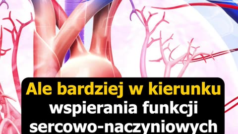 Jaki 🧲 magnez 💊 wybrać?, 4 fragment materiału... - Przemysław Kasprzyszyn, CM Vis Vitalis