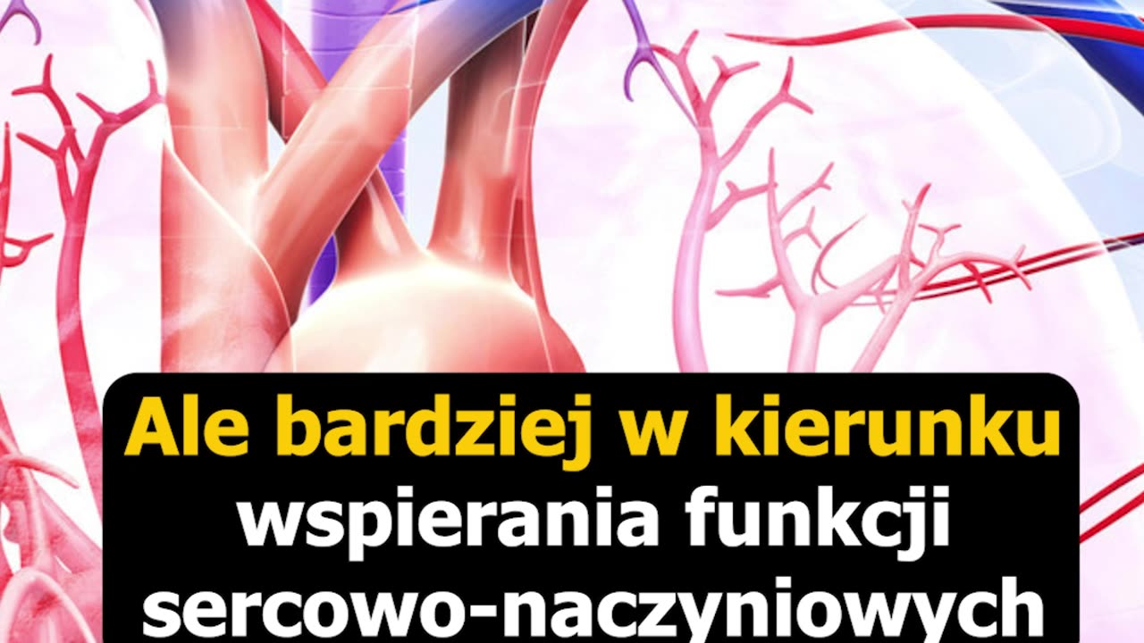 Jaki 🧲 magnez 💊 wybrać?, 4 fragment materiału... - Przemysław Kasprzyszyn, CM Vis Vitalis