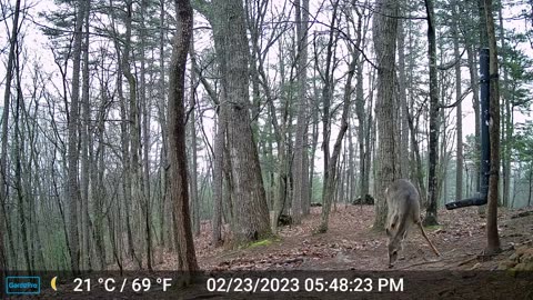 The Woods – 02/24/2023