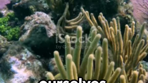 Most beautiful Places in This extremely deep world