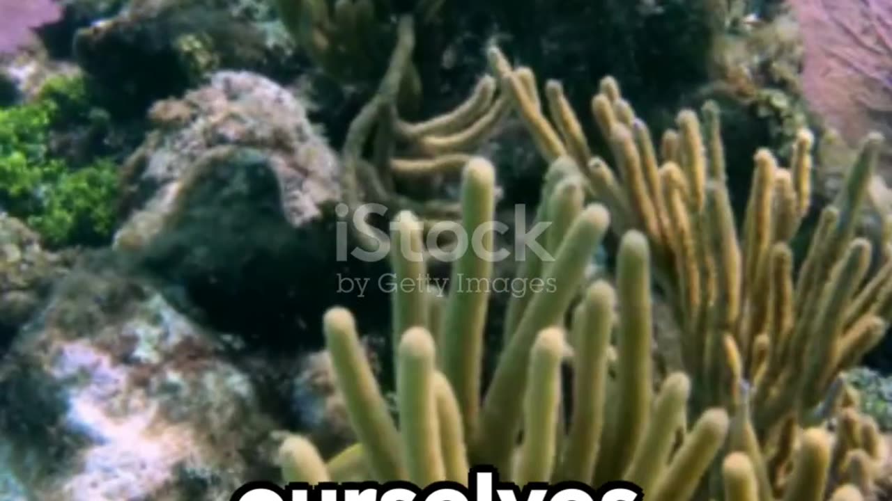 Most beautiful Places in This extremely deep world