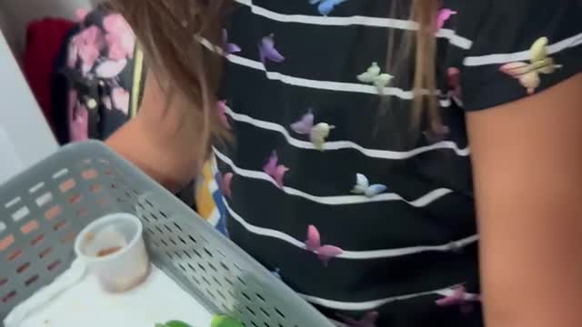 Girl rescues a baby bird