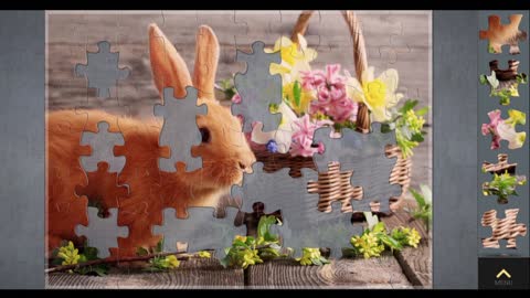 Rabbit puzzle