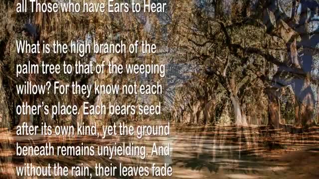 The Day of the Lord is here... The Pangs must increase quickly 🎺 Trumpet Call of God