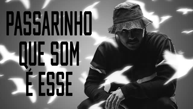 DJ TOPO, MC CYCLOPE, MC PR - PASSARINHO QUE SOM É ESSE